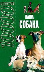 Книга "Ваша собака". (10000 советов) ― интернет зоомагазин  "Наши зверушки"